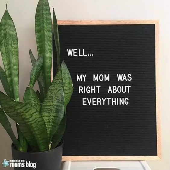 17 Hilarious Letterboard Quotes The Funny Beaver