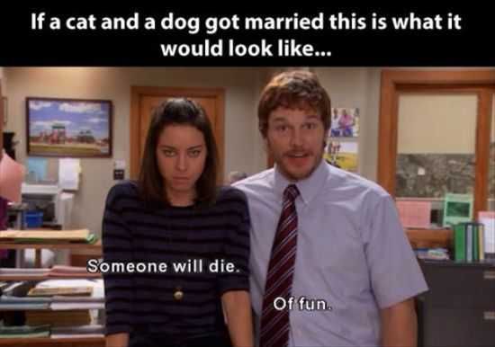 Funny Pictures Random Funny Pictures Of The Week