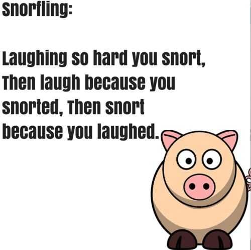 Funny Quotes 205 Weekend Random Funny Pictures
