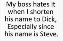 Funny Quotes 219