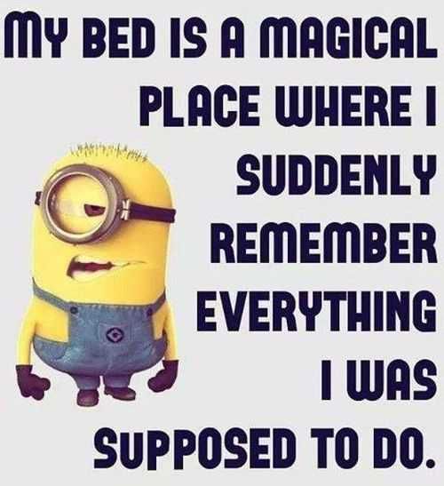 Funny Quotes 225