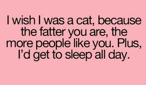 Funny Quotes 226