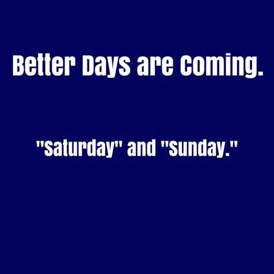 Funny Quotes