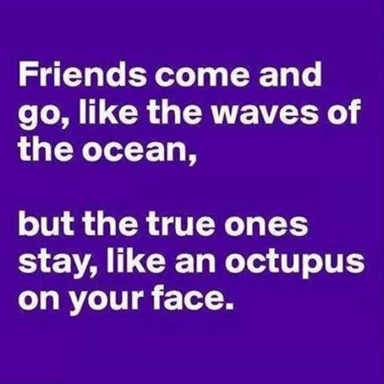 Funny Quotes
