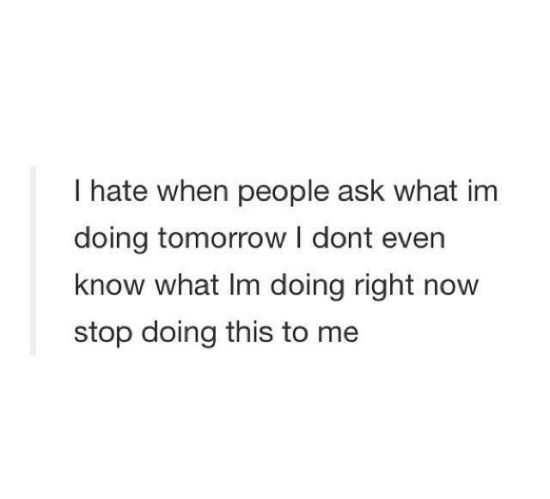 Funny Quotes