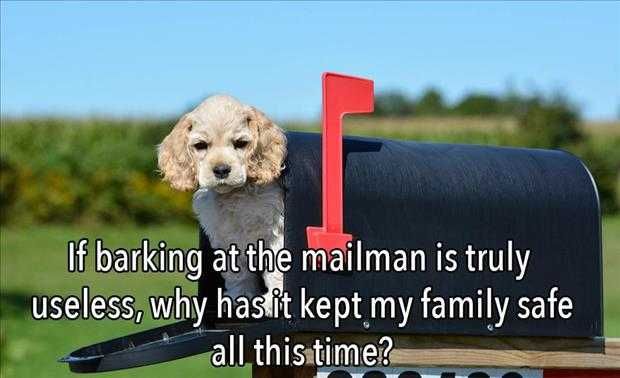 Funny Animals Picture Of The Day (1)