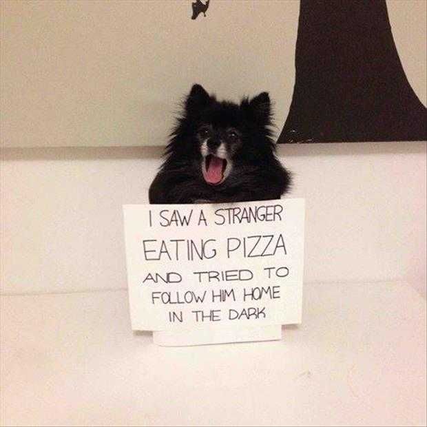 Funny Animals Picture Of The Day (7)