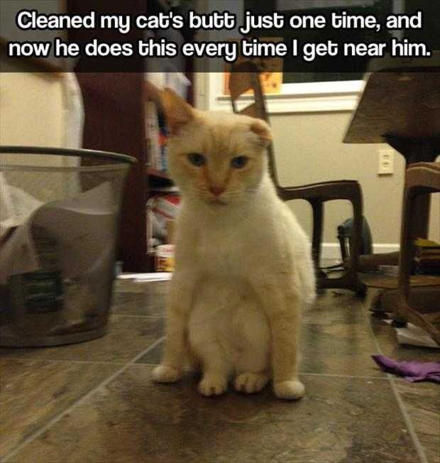 Funny Animals Picture Of The Day (8)