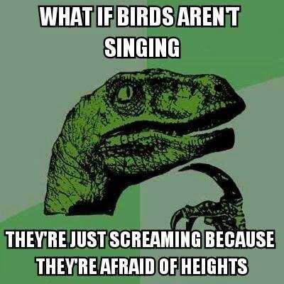 Funny Picture Of The Day (1)