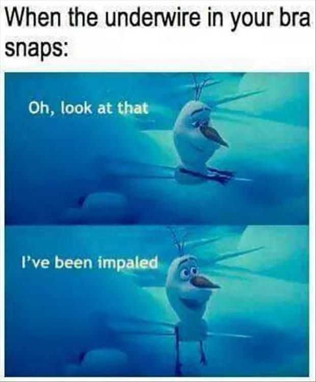 Funny Picture Of The Day (5)