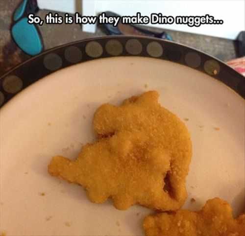 How Do They Make Dino Nuggets Funny Pictures Of The Week 51 Pictures