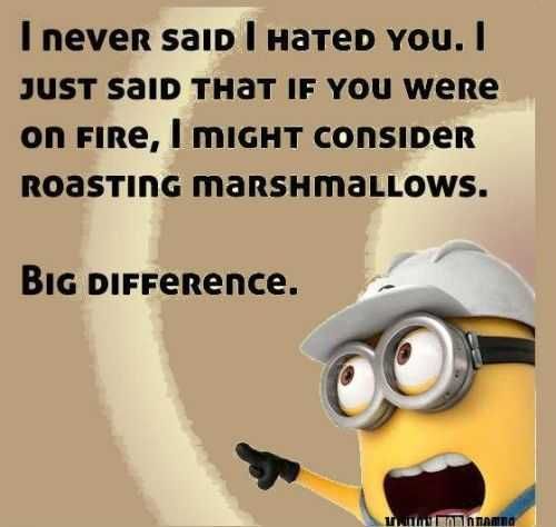 Funny Minion Quotes 272