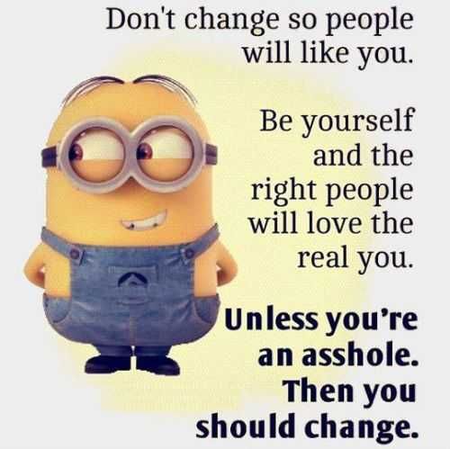 Funny Minion Quotes 273