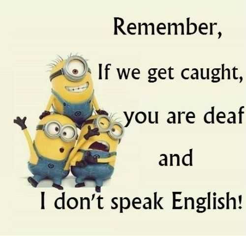Funny Minion Quotes 277