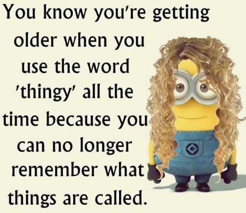 Funny Minion Quotes 278