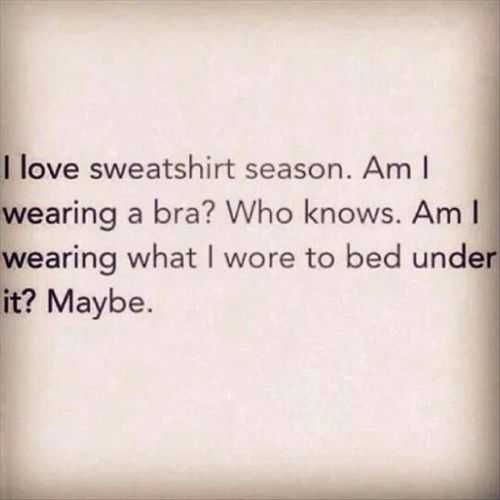 Funny Quotes 260