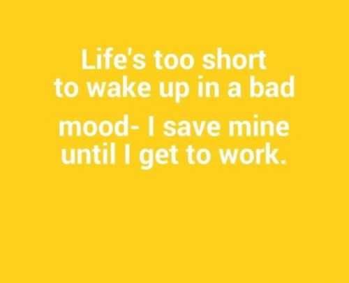Funny Quotes 269