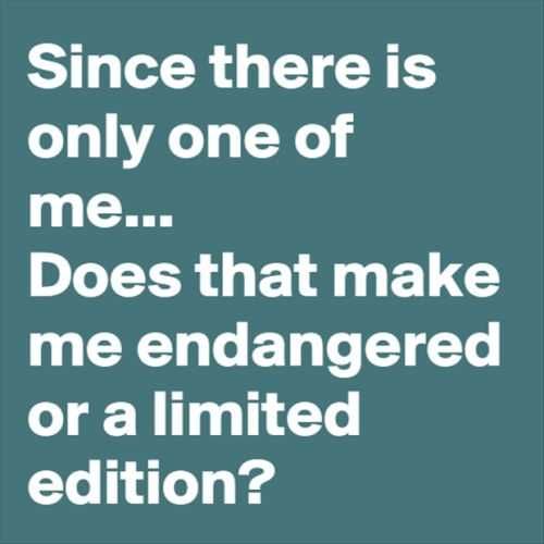Funny Quotes 283 Funny Pictures And Quotes Of The Week