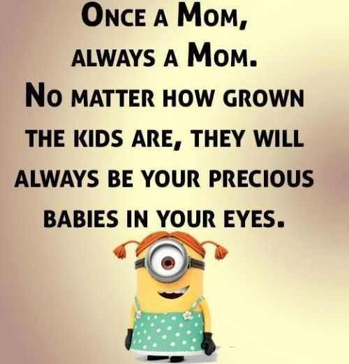 Funny Minion Quotes 360