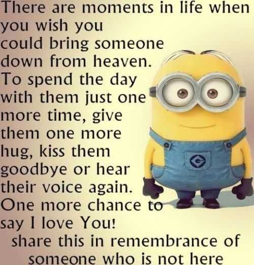 Funny Minion Quotes 362