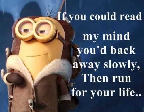 Funny Minion Quotes 367