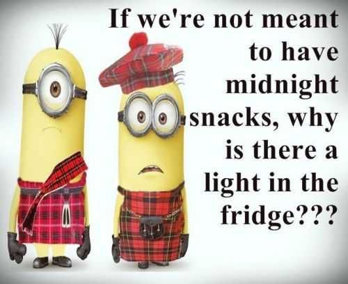 Funny Minion Quotes 369