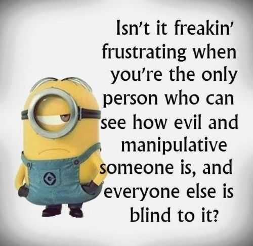 Funny Minion Quotes 370