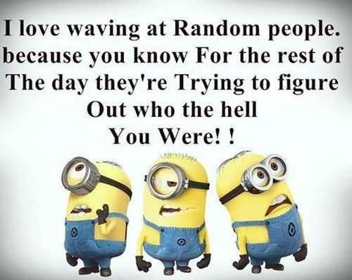 Funny Minion Quotes 371