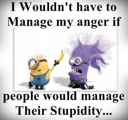 Funny Minion Quotes 376