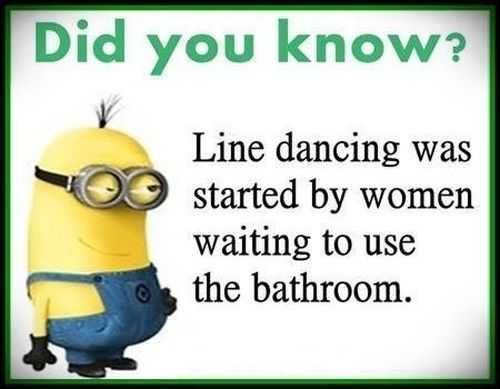 Funny Minion Quotes 379