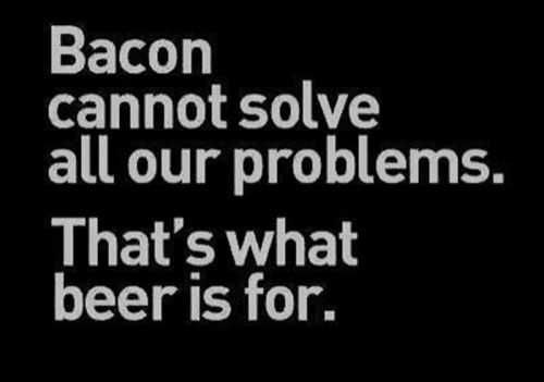 Funny Quotes From Thefunnybeaver 332