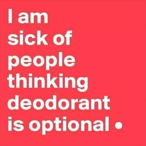 Funny Quotes From Thefunnybeaver 333
