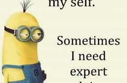 Minions Quotes 325 Featured