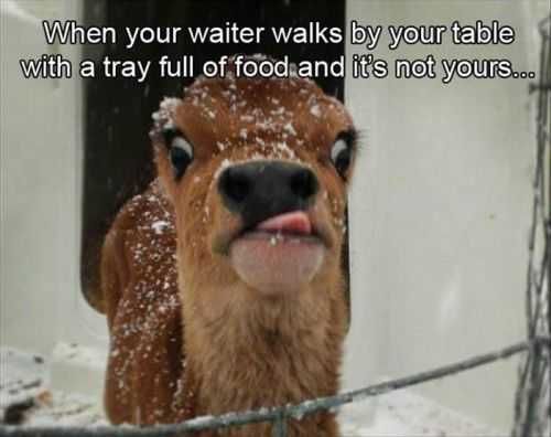 When The Waiter Walks By With A Tray Full Of Food And Its Not Yours
