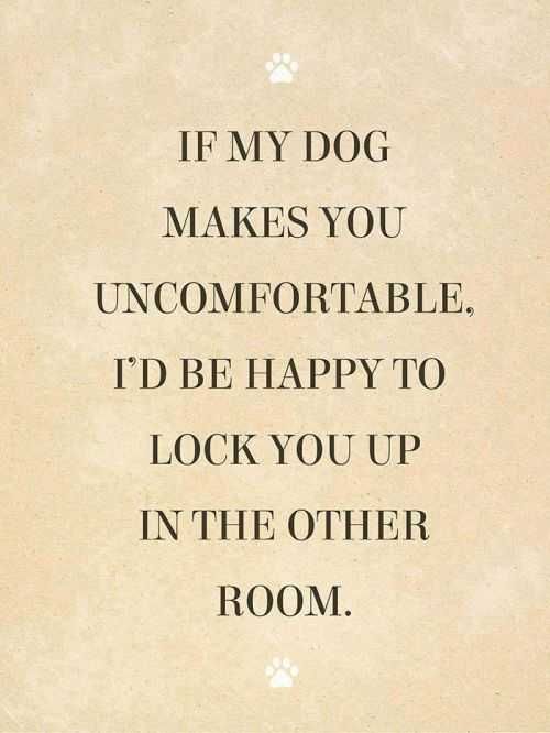 Funniest Quotes On The Internet 393