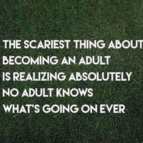 Funniest Quotes On The Internet 400
