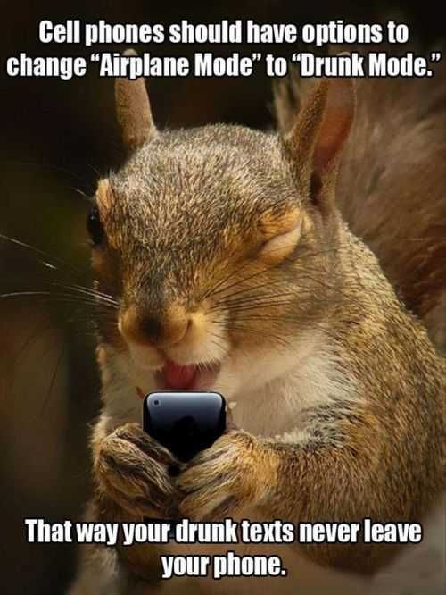 Funny Drunktextingsquirrel