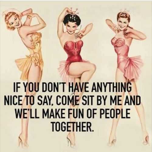 If You Dont Have Anything Nice To Say Funny Quote