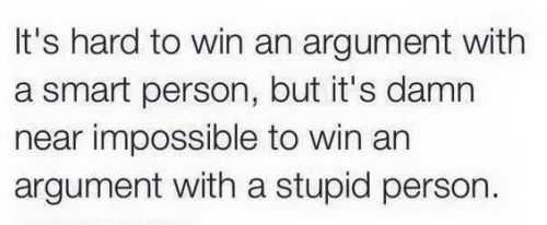 Its Hard To Win An Argument With A Stupid Person But It Is Impossible To Win An Argument With A Stupid Person Funny Quote