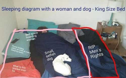 Womans Sleeping Diagram.