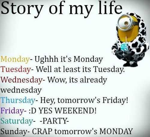 Despicable Me Funny Minion Quotes Of The Day 032
