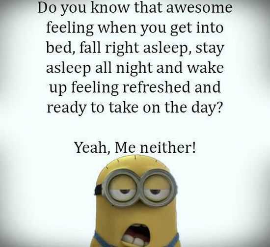 New Funny Minions Pictures 049