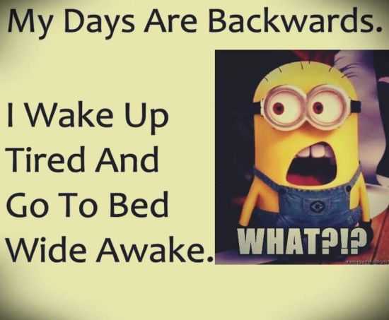 New Funny Minions Pictures 058