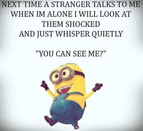 New Funny Minions Quotes 041