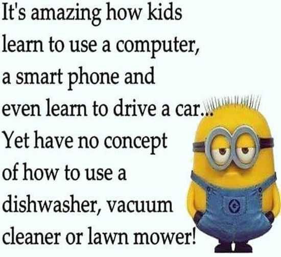 Funny Minions 016