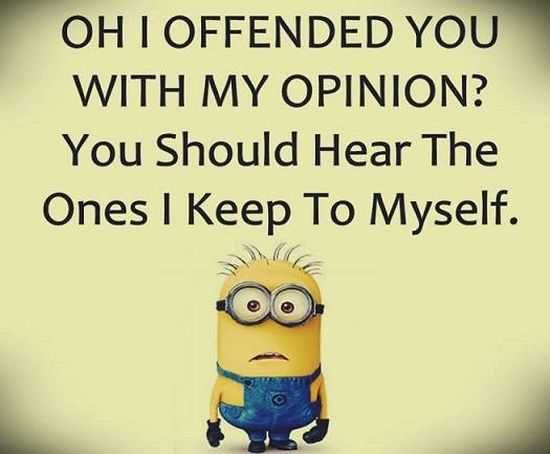 Funny Minions 017