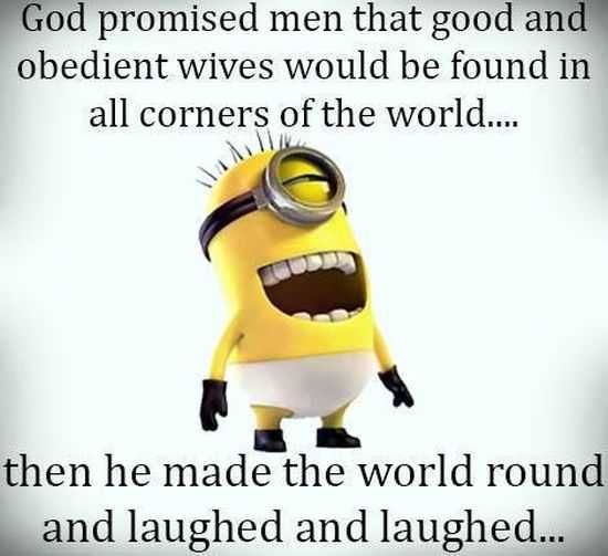 Funny Minions 018