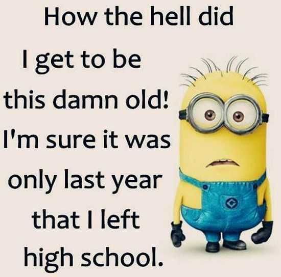 Funny Minions 029