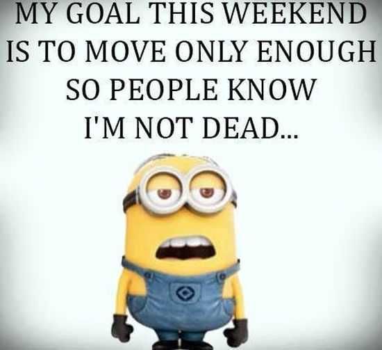 Funny Minions 031