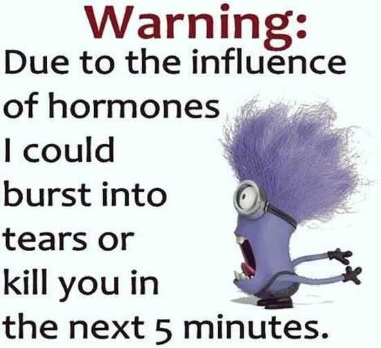 Funny New Minions Pictures 011